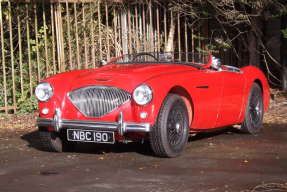 1955 Austin-Healey 100/4