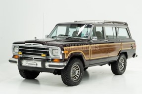 1989 Jeep Grand Wagoneer