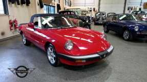 1988 Alfa Romeo Spider