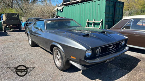 1973 Ford Mustang