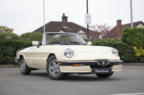 1984 Alfa Romeo Spider