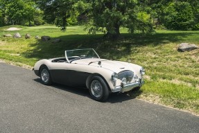 1956 Austin-Healey 100M