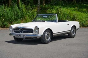 1964 Mercedes-Benz 230 SL