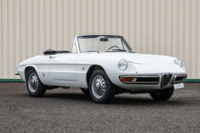 1966 Alfa Romeo Spider