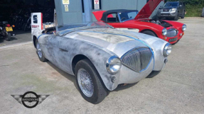 1955 Austin-Healey 100