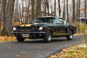 1966 Shelby GT350