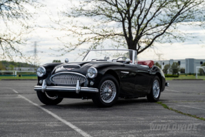 1964 Austin-Healey 3000