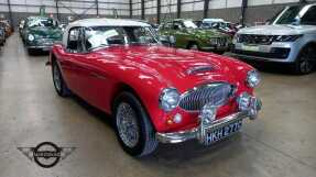 1965 Austin-Healey 3000