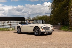 1966 Austin-Healey 3000