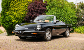 1982 Alfa Romeo Spider