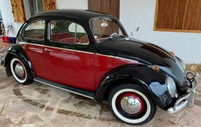 1961 Volkswagen Beetle